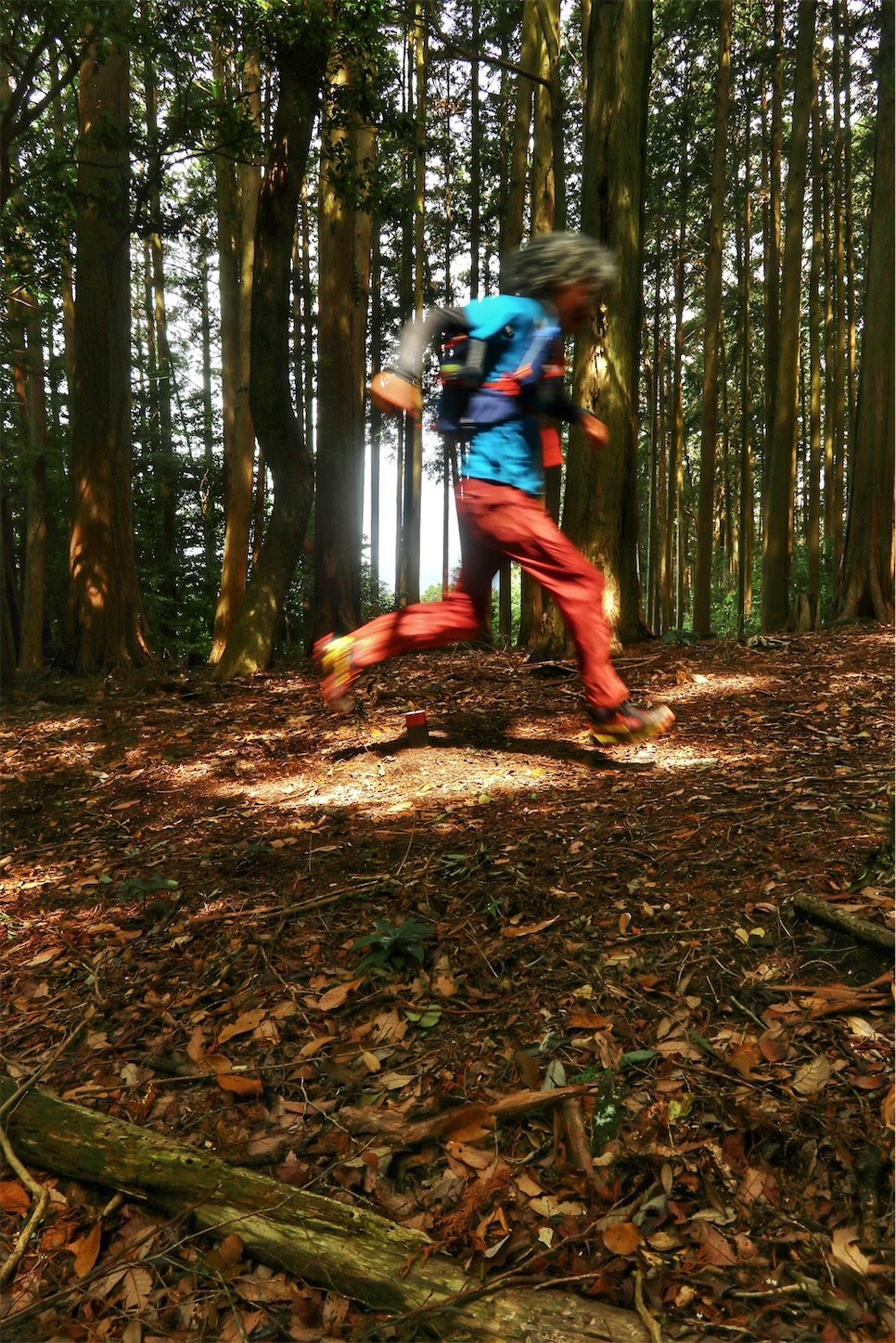 f:id:yamameichiro:20260619182025j:image f:id:yamameichiro:20260619182025j:image