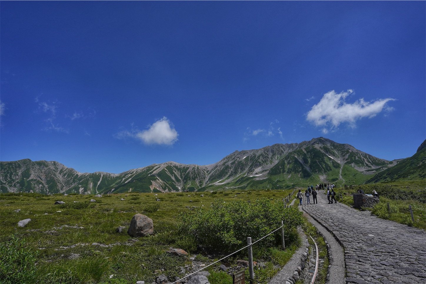 f:id:yamameichiro:20260811220025j:image