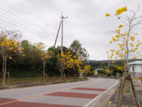 f:id:yamamizuh:20090217143912j:image