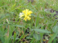 f:id:yamamizuh:20111005150832j:image f:id:yamamizuh:20111005150832j:image