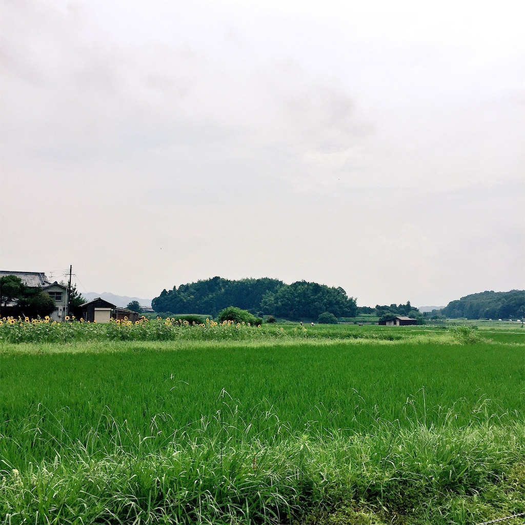 f:id:yamamotoari:20160805121624j:image f:id:yamamotoari:20160805121624j:image