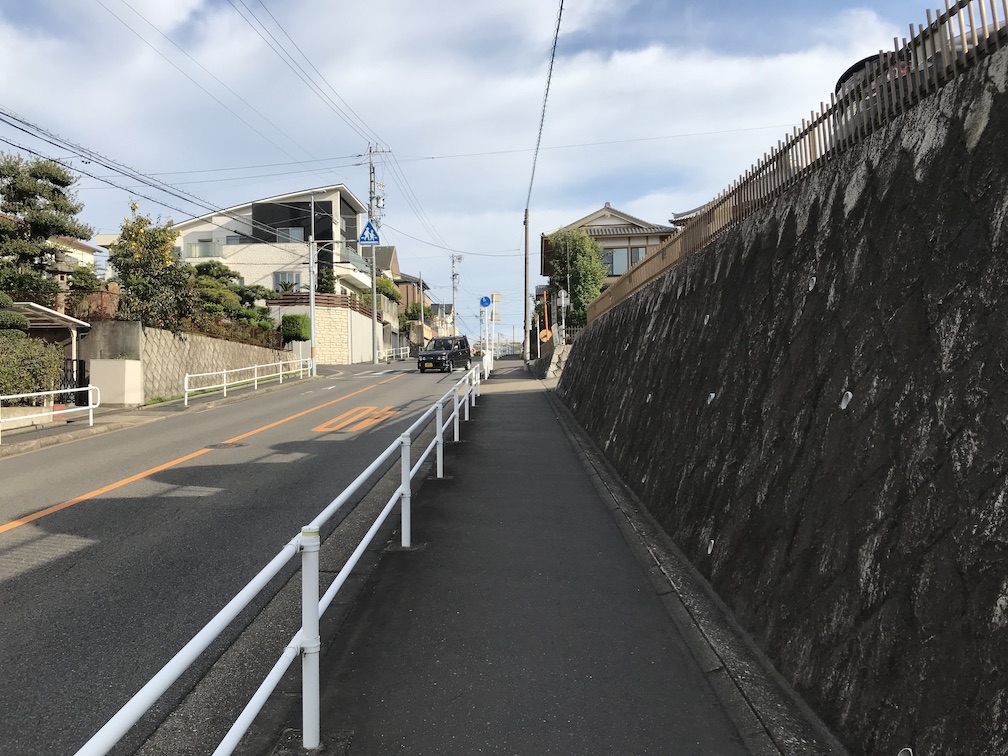 f:id:yamamotoecs:20201229161231j:plain