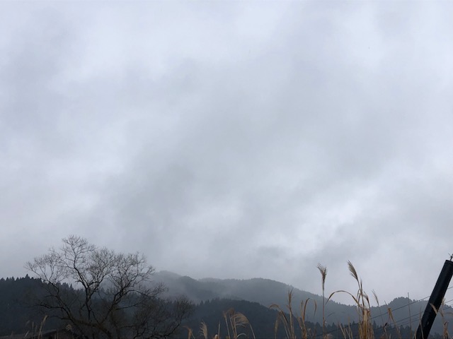 f:id:yamamotoreiwa:20200119152946j:plain f:id:yamamotoreiwa:20200119152946j:plain