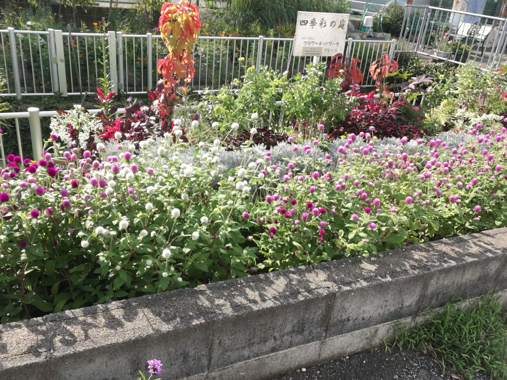 f:id:yamanaka-annann:20180914014000j:plain f:id:yamanaka-annann:20180914014000j:plain