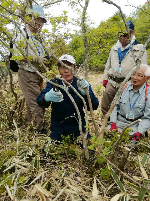 f:id:yamanashimidorisupport:20190620102549j:image f:id:yamanashimidorisupport:20190620102549j:image