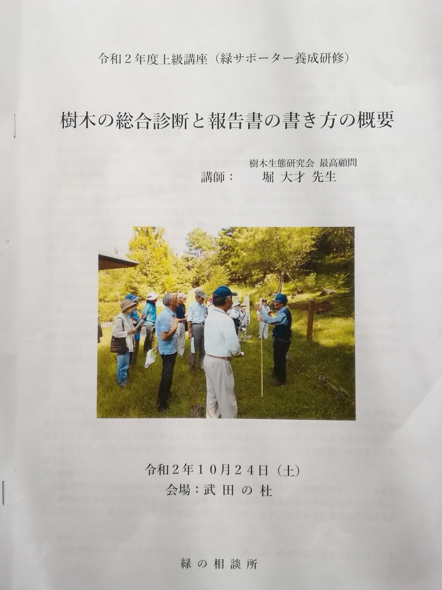 f:id:yamanashimidorisupport:20201029095232j:plain f:id:yamanashimidorisupport:20201029095232j:plain