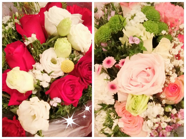 f:id:yamaneco0525:20171223032106j:image f:id:yamaneco0525:20171223032106j:image