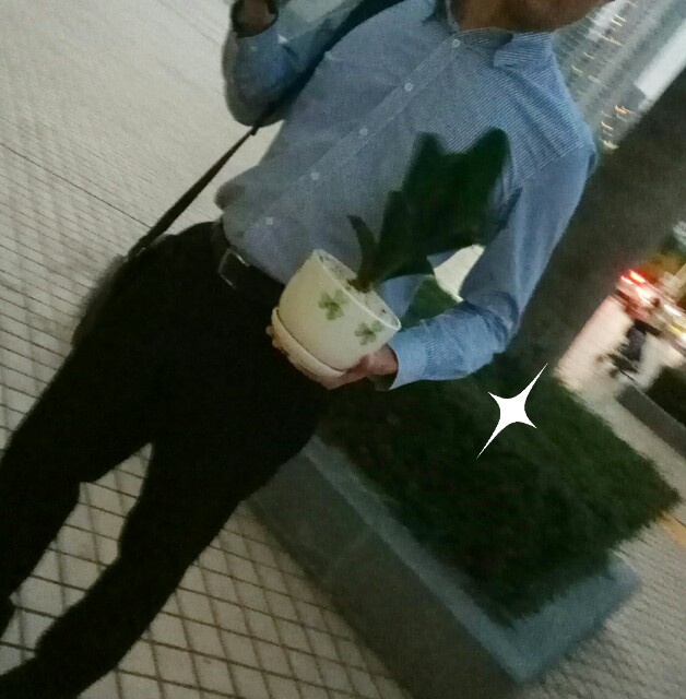 f:id:yamaneco0525:20181029190634j:image f:id:yamaneco0525:20181029190634j:image