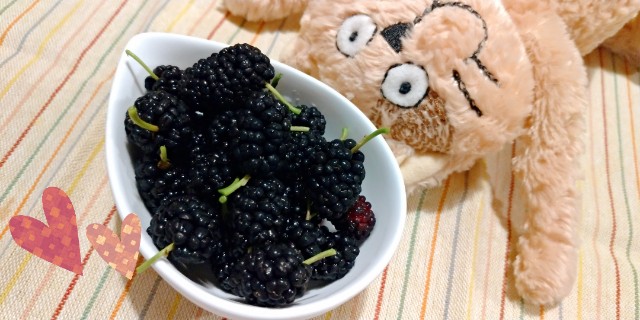 f:id:yamaneco0525:20210604204142j:image f:id:yamaneco0525:20210604204142j:image