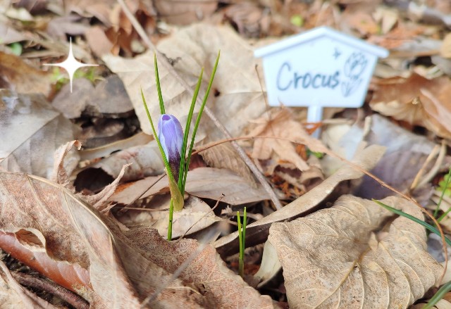 f:id:yamaneco0525:20220225193633j:image f:id:yamaneco0525:20220225193633j:image