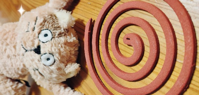 f:id:yamaneco0525:20230924202511j:image f:id:yamaneco0525:20230924202511j:image