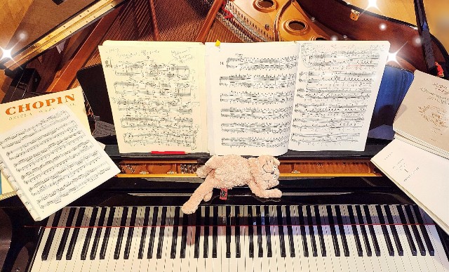 f:id:yamaneco0525:20240625180920j:image f:id:yamaneco0525:20240625180920j:image