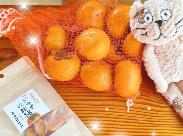 f:id:yamaneco0525:20251115214001j:image