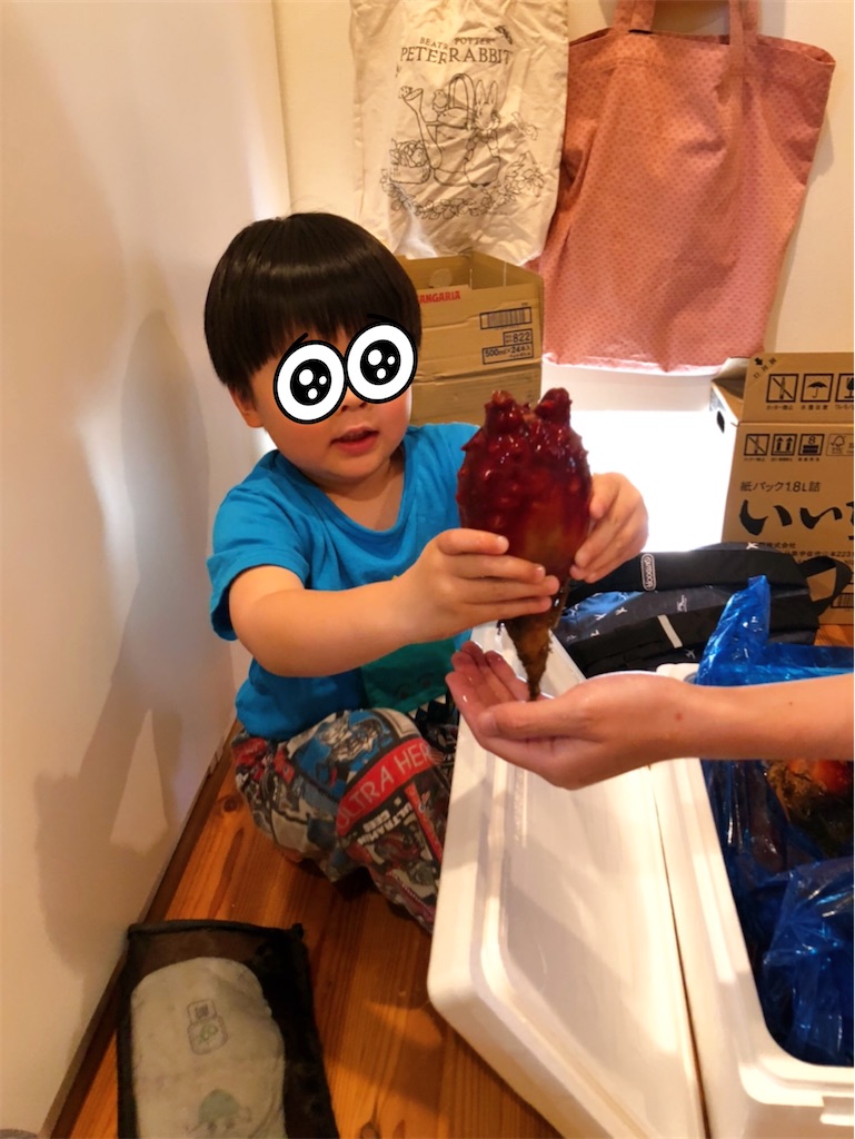 f:id:yamaneko0429:20210527052111j:plain