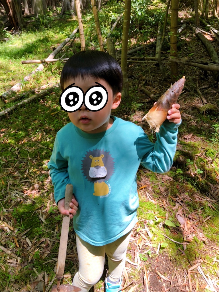 f:id:yamaneko0429:20210527054401j:plain