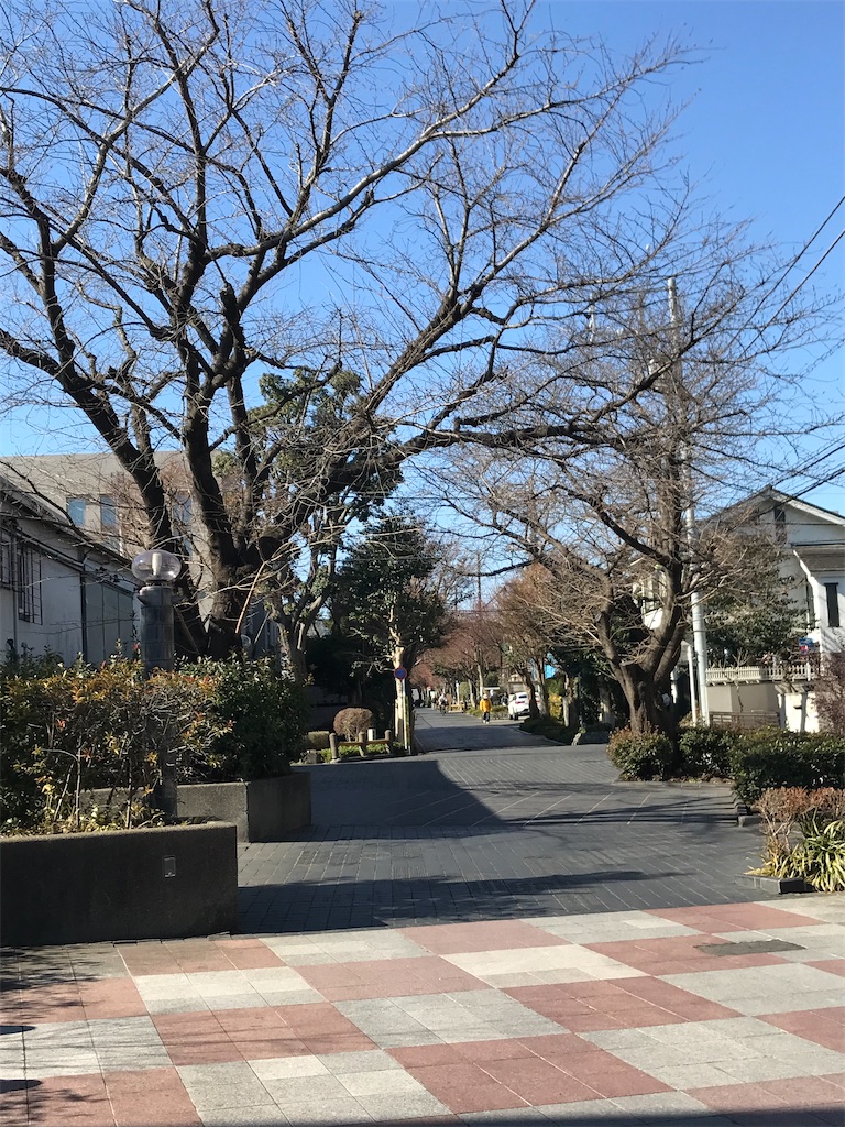 f:id:yamanekoMP:20220210111749j:image