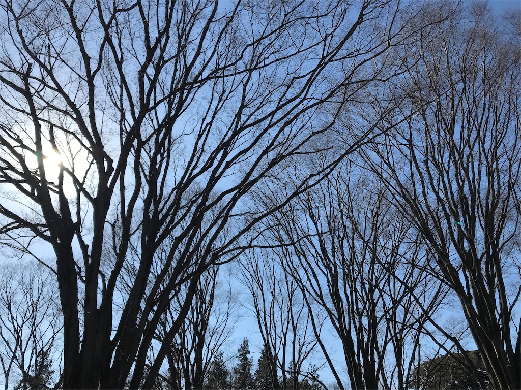 f:id:yamanekoMP:20220210151154j:plain
