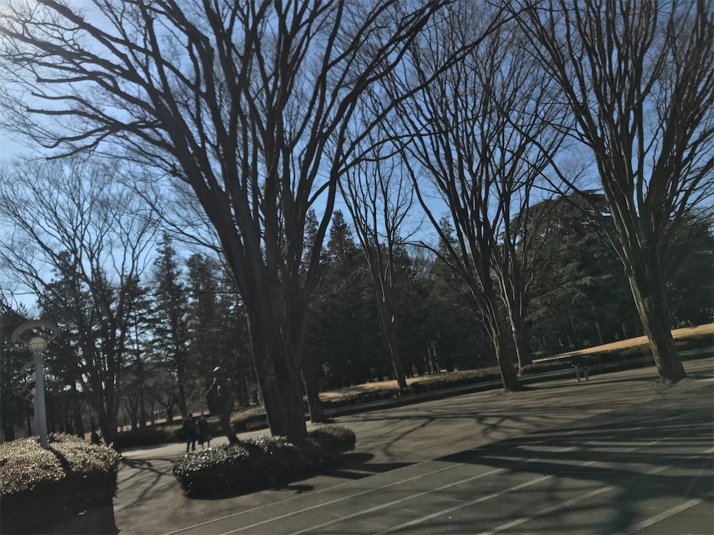 f:id:yamanekoMP:20220210151157j:plain