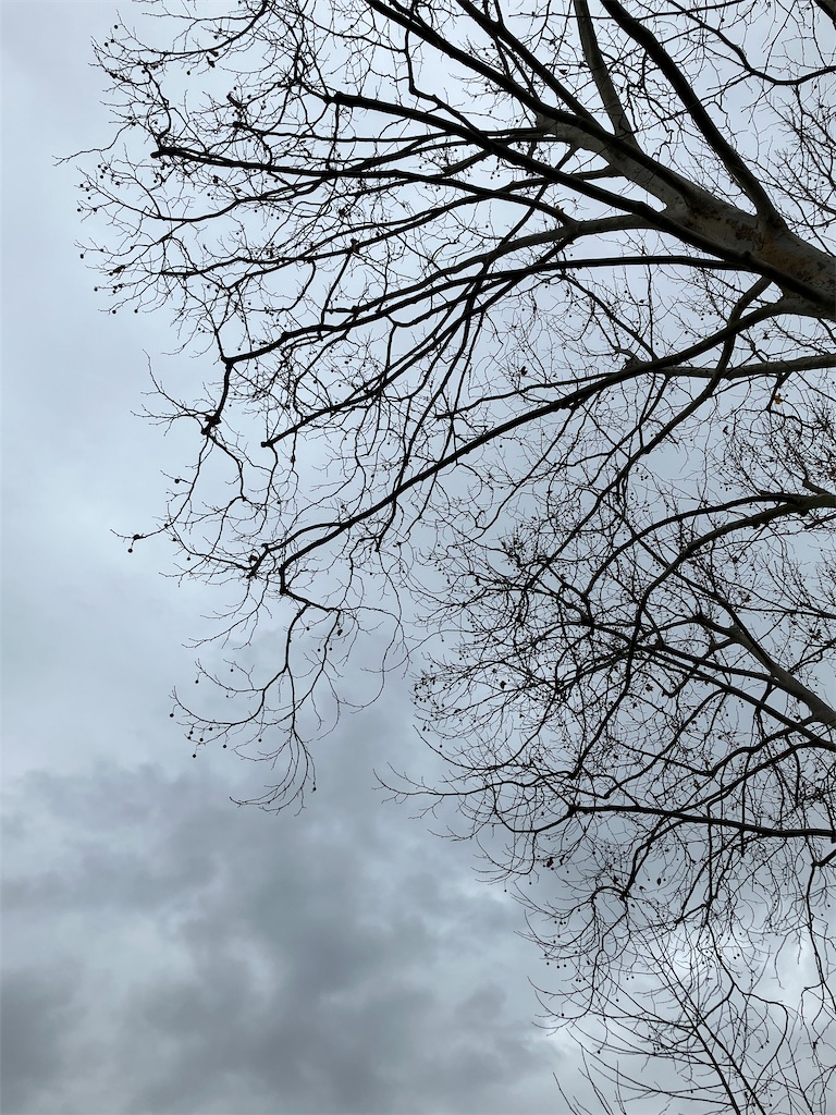 f:id:yamanekoMP:20221202193451j:image f:id:yamanekoMP:20221202193451j:image