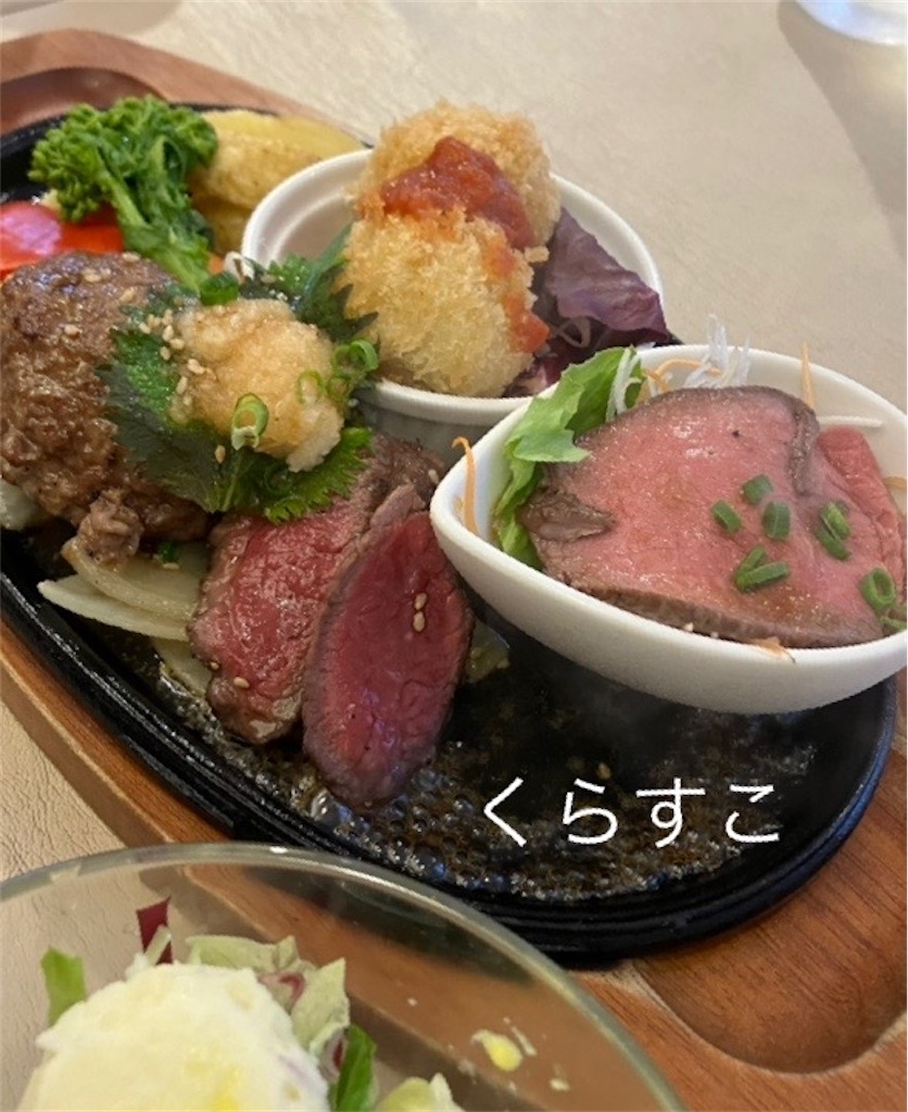 f:id:yamanekoMP:20240603145034j:image f:id:yamanekoMP:20240603145034j:image