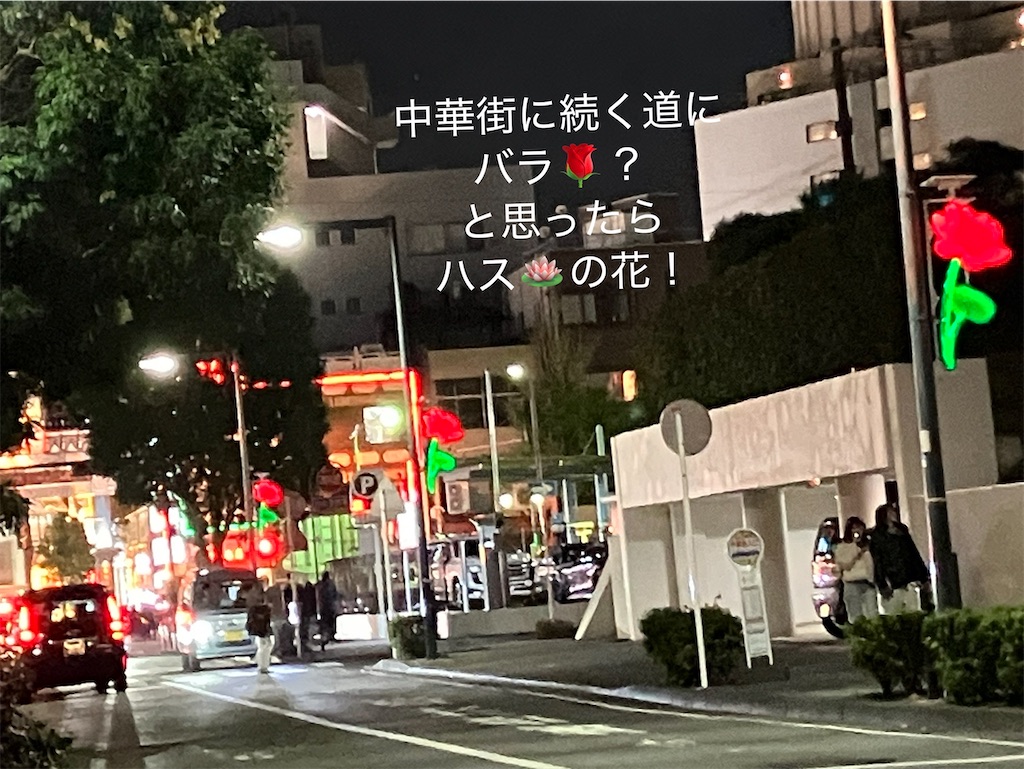 f:id:yamanekoMP:20251127172542j:image f:id:yamanekoMP:20251127172542j:image