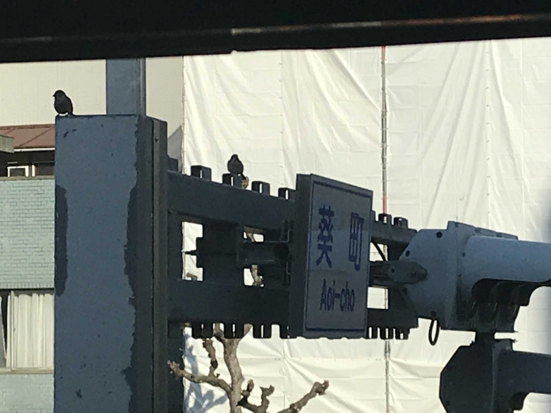 f:id:yamanekohanemuranai:20171128193815j:plain f:id:yamanekohanemuranai:20171128193815j:plain