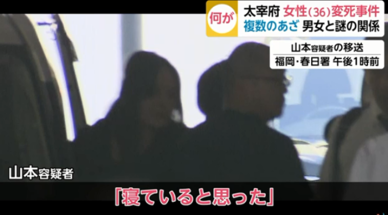 山本美幸,顔画像