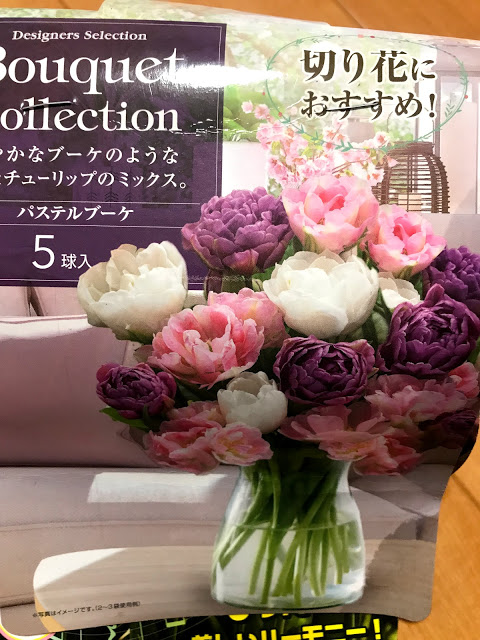 f:id:yamano_ie:20191029230112p:plain f:id:yamano_ie:20191029230112p:plain
