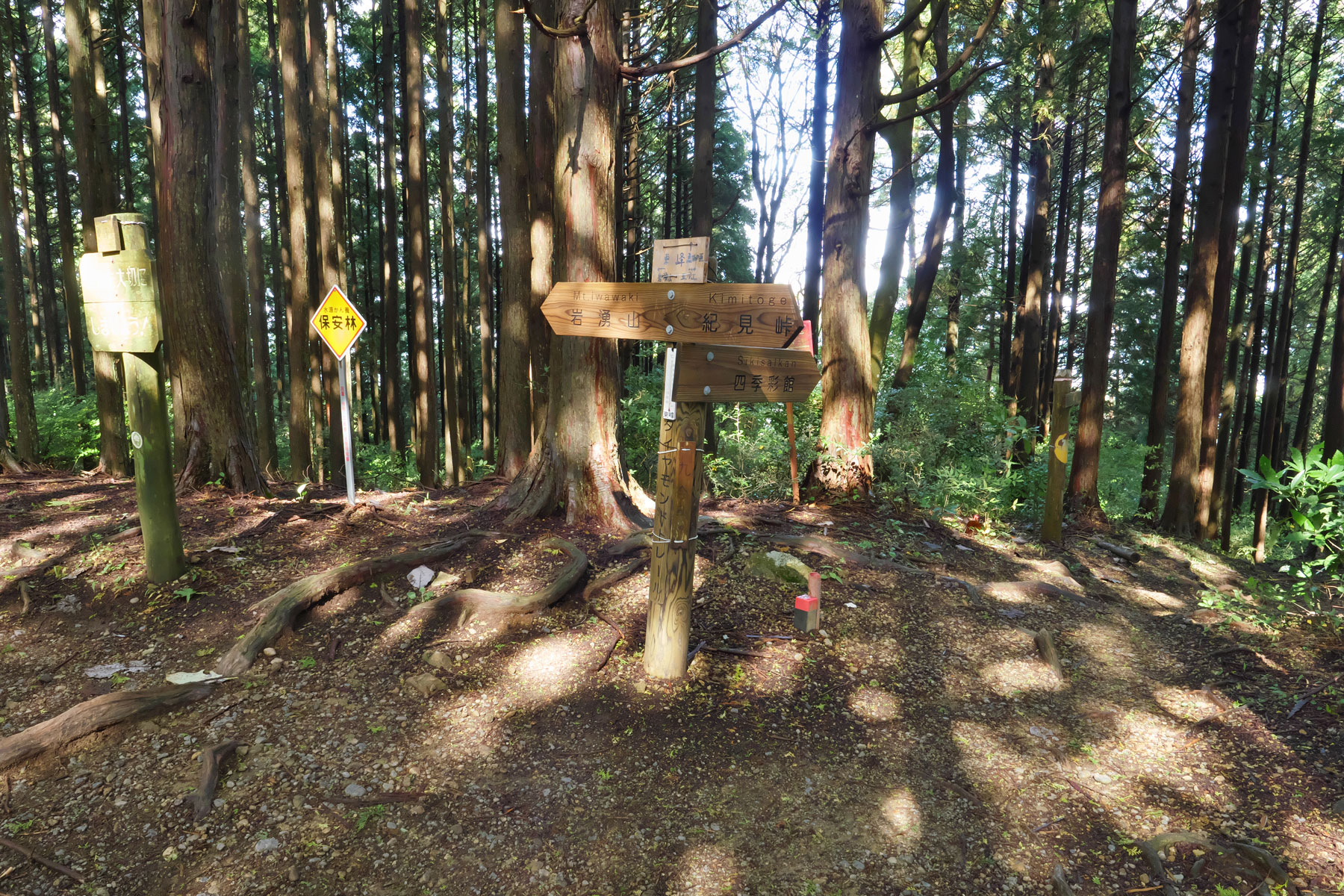 岩湧山 ススキの穂ゆれる山で秋を感じる（前編） - やまのぼブログ