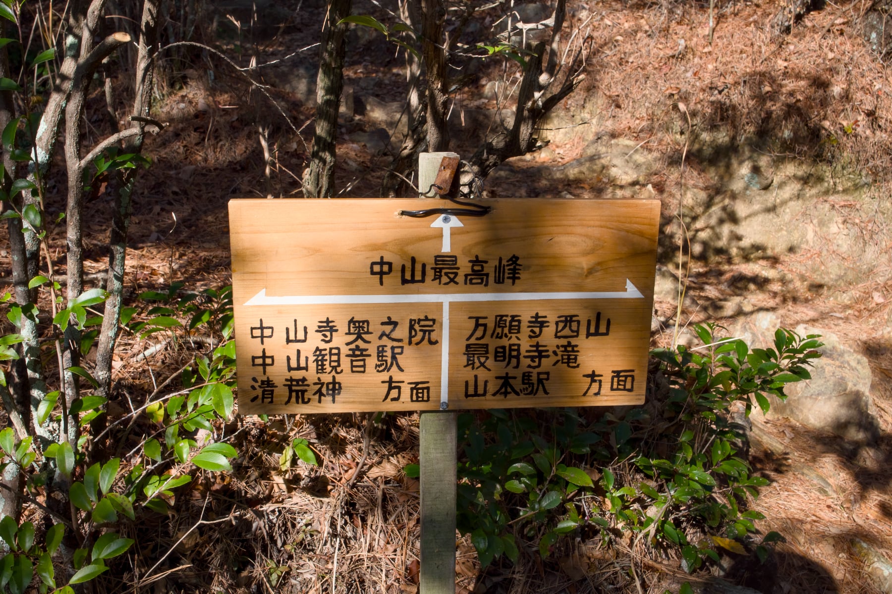 中山連山 阪神間を望む馬蹄形ルートを歩く（前編） - やまのぼブログ