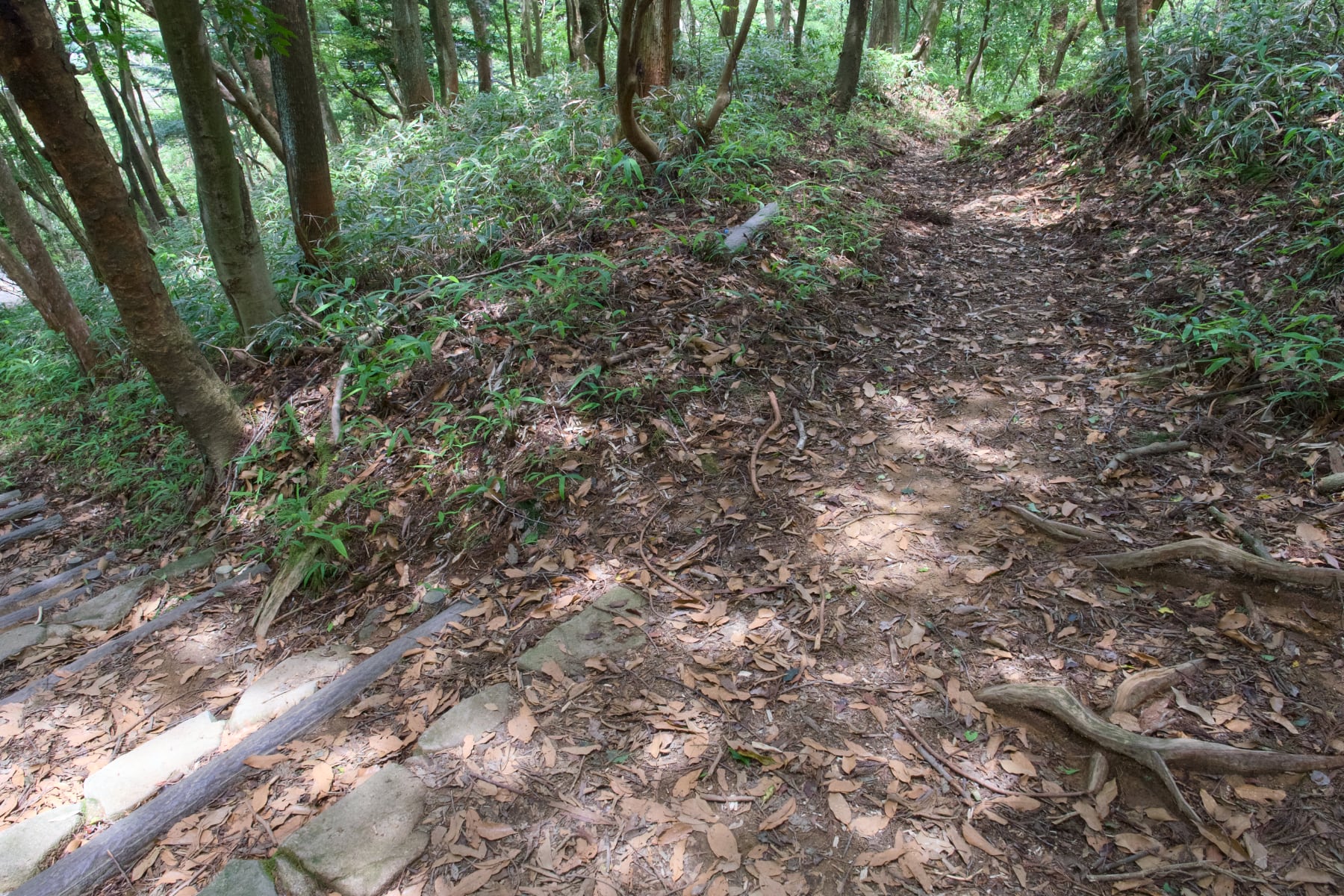 高品質　エレスチャル　爆虹　最高透明度　オールドストック　レベチ　伝説の閉山鉱山 やまのぼブログ