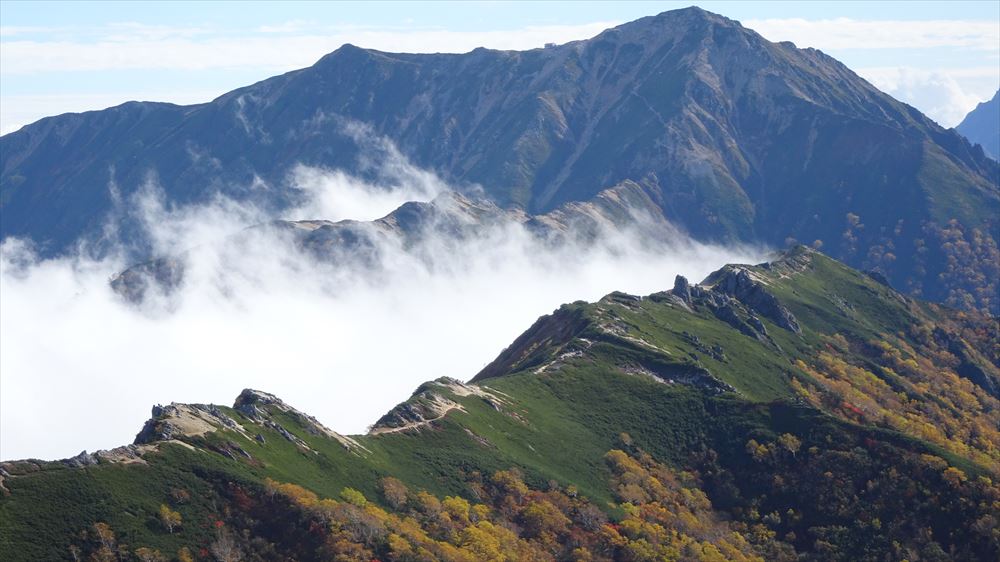 f:id:yamanoborist:20180908155245j:plain f:id:yamanoborist:20180908155245j:plain