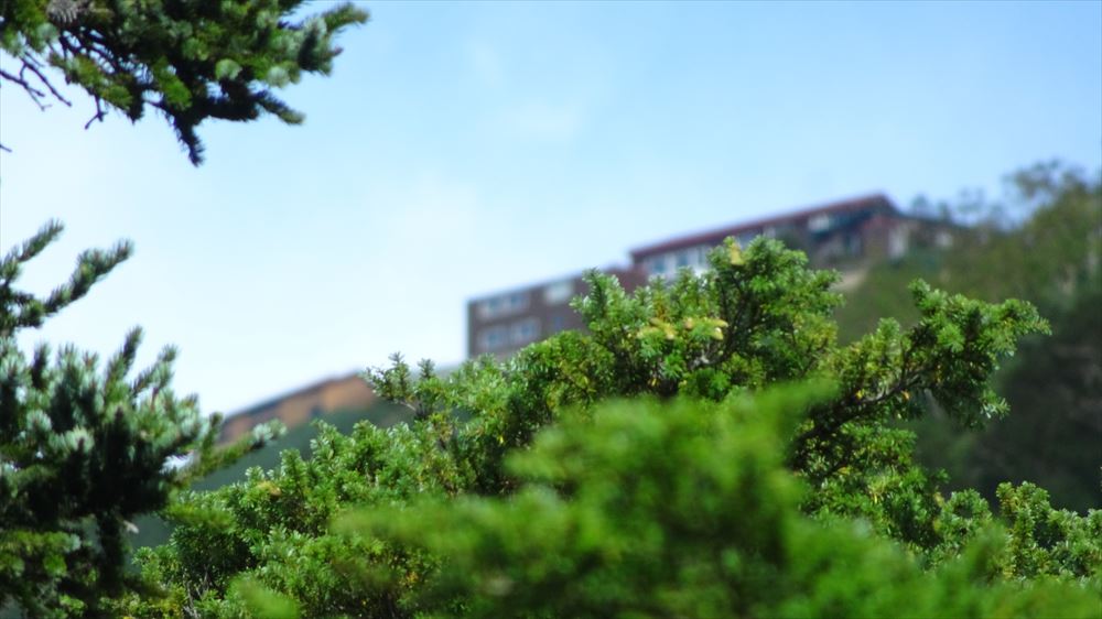f:id:yamanoborist:20180910222719j:plain f:id:yamanoborist:20180910222719j:plain