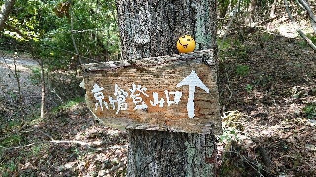 f:id:yamanoid:20180909182145j:image
