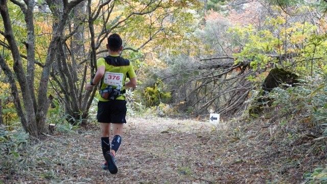 f:id:yamanoid:20181009213126j:image