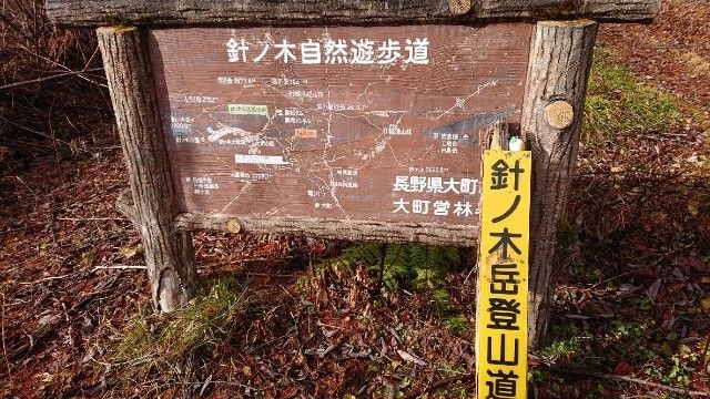 f:id:yamanoid:20181206231947j:image