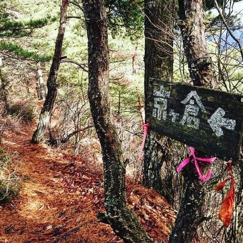 f:id:yamanoid:20181225213054j:image