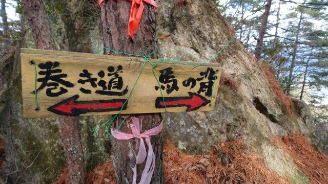 f:id:yamanoid:20181225213348j:image