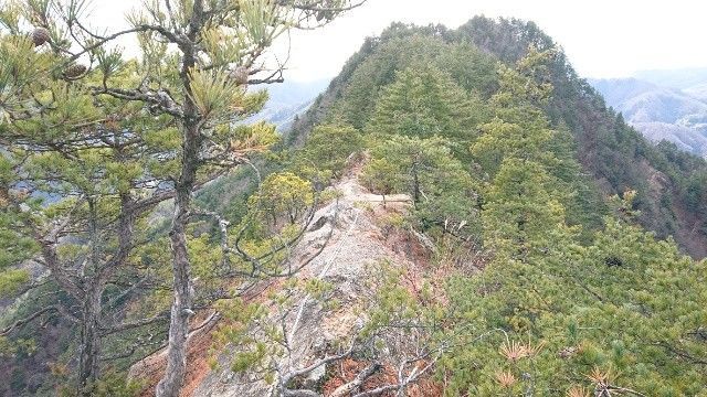 f:id:yamanoid:20181225213433j:image