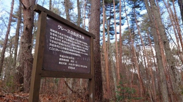 f:id:yamanoid:20181225213849j:image