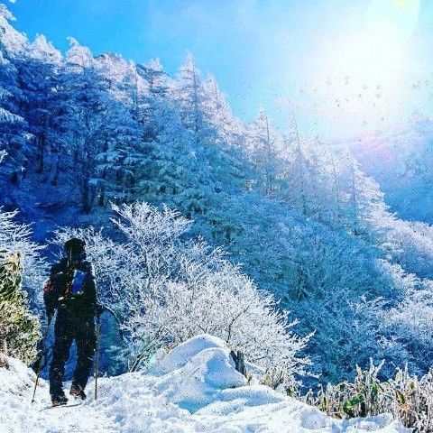 f:id:yamanoid:20190106141815j:image