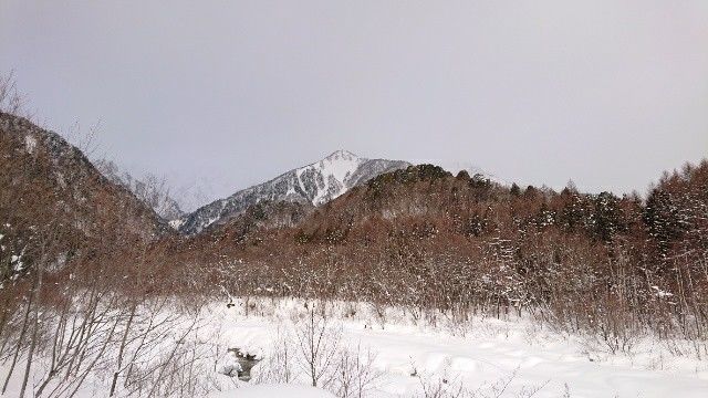 f:id:yamanoid:20190124121620j:image