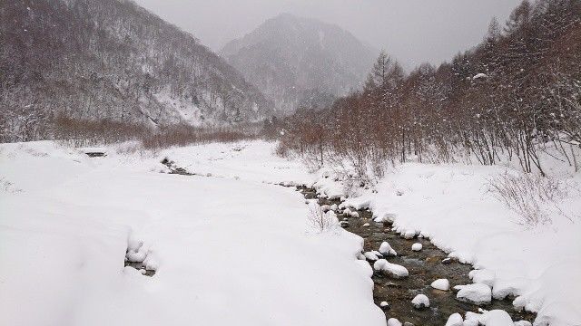 f:id:yamanoid:20190124121745j:image