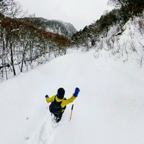 f:id:yamanoid:20190124121805j:image f:id:yamanoid:20190124121805j:image