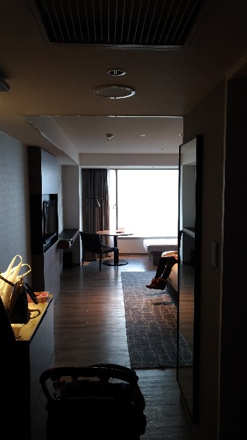f:id:yamanoiet:20180218004029j:image f:id:yamanoiet:20180218004029j:image