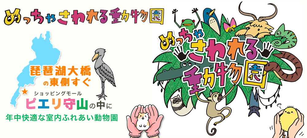 f:id:yamanoiet:20180218111239j:plain f:id:yamanoiet:20180218111239j:plain
