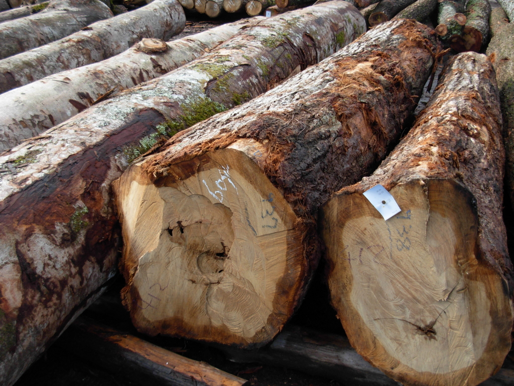 f:id:yamanoimokkoubou:20161207211811j:plain f:id:yamanoimokkoubou:20161207211811j:plain