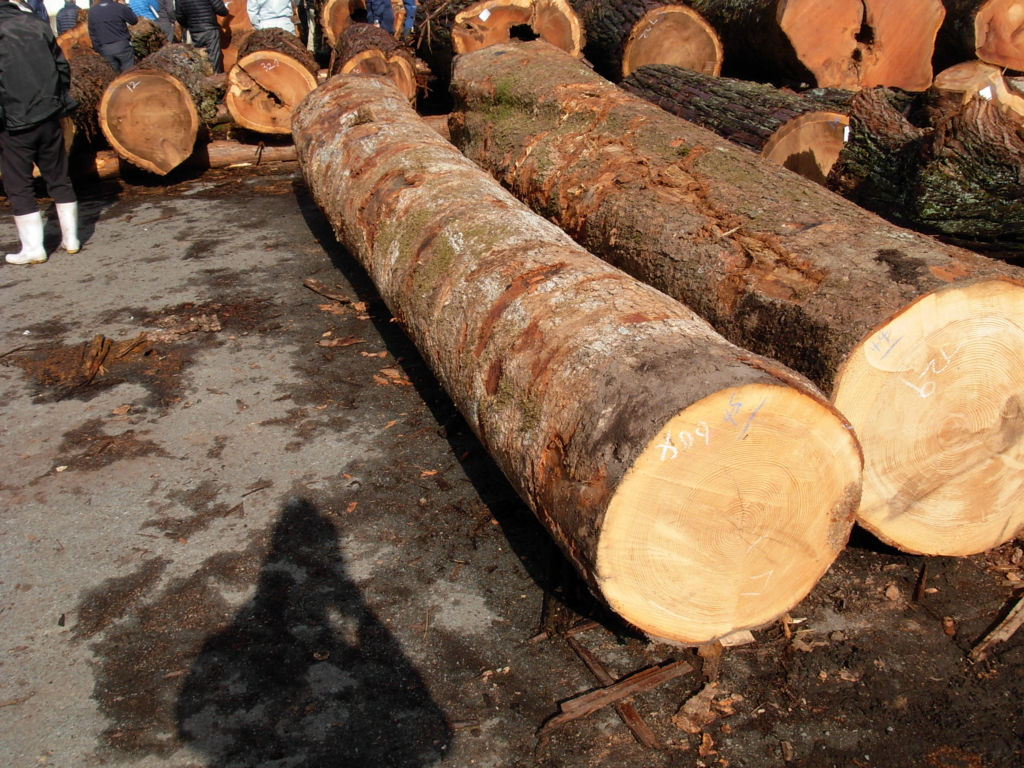 f:id:yamanoimokkoubou:20161207211837j:plain f:id:yamanoimokkoubou:20161207211837j:plain