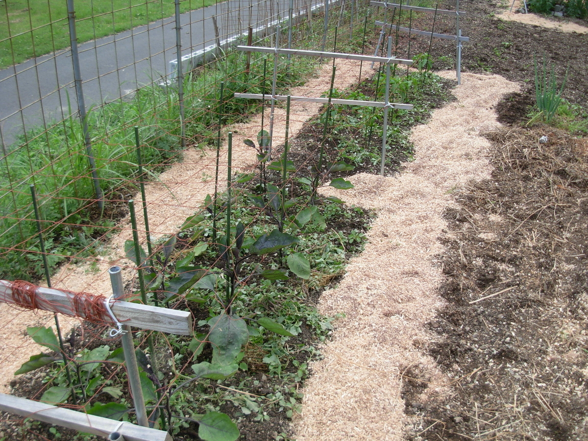 f:id:yamanoimokkoubou:20190616213051j:plain