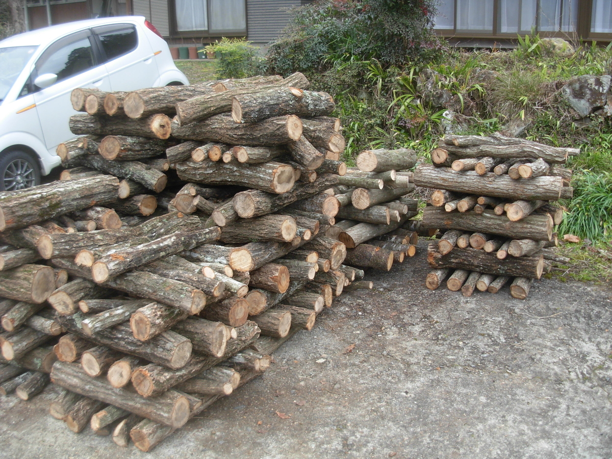 f:id:yamanoimokkoubou:20200301205007j:plain f:id:yamanoimokkoubou:20200301205007j:plain